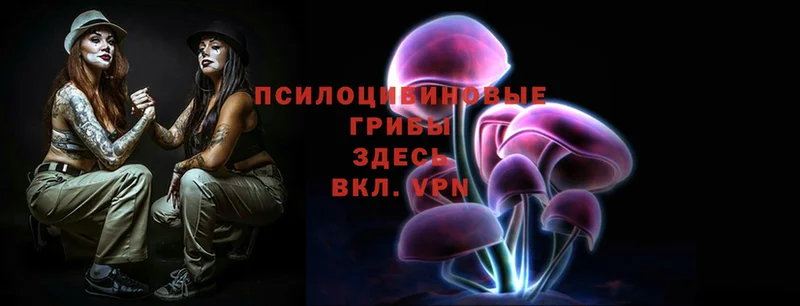 Галлюциногенные грибы Magic Shrooms  Благовещенск 